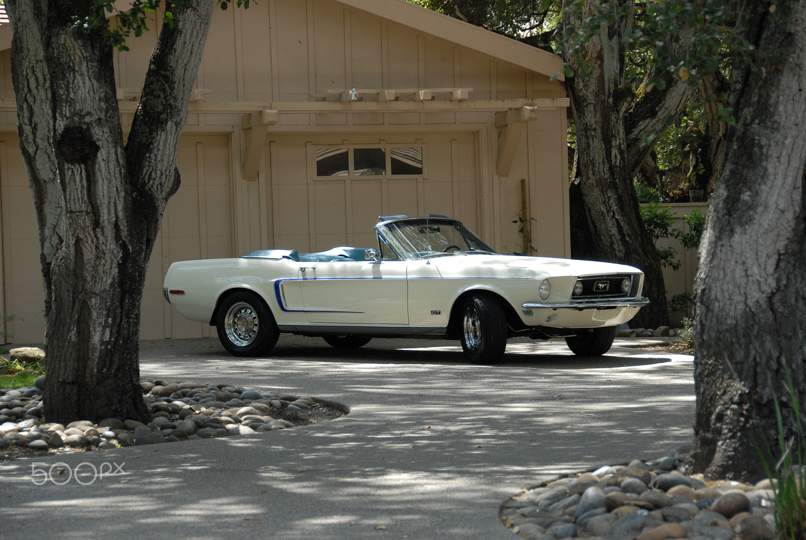 Nikon D200 sample photo. Mustang gt at home photography