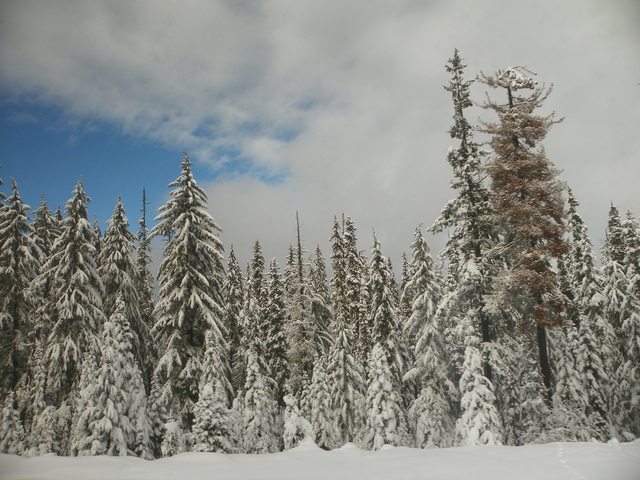 Kodak EasyShare Z981 sample photo. Mountain pass photography