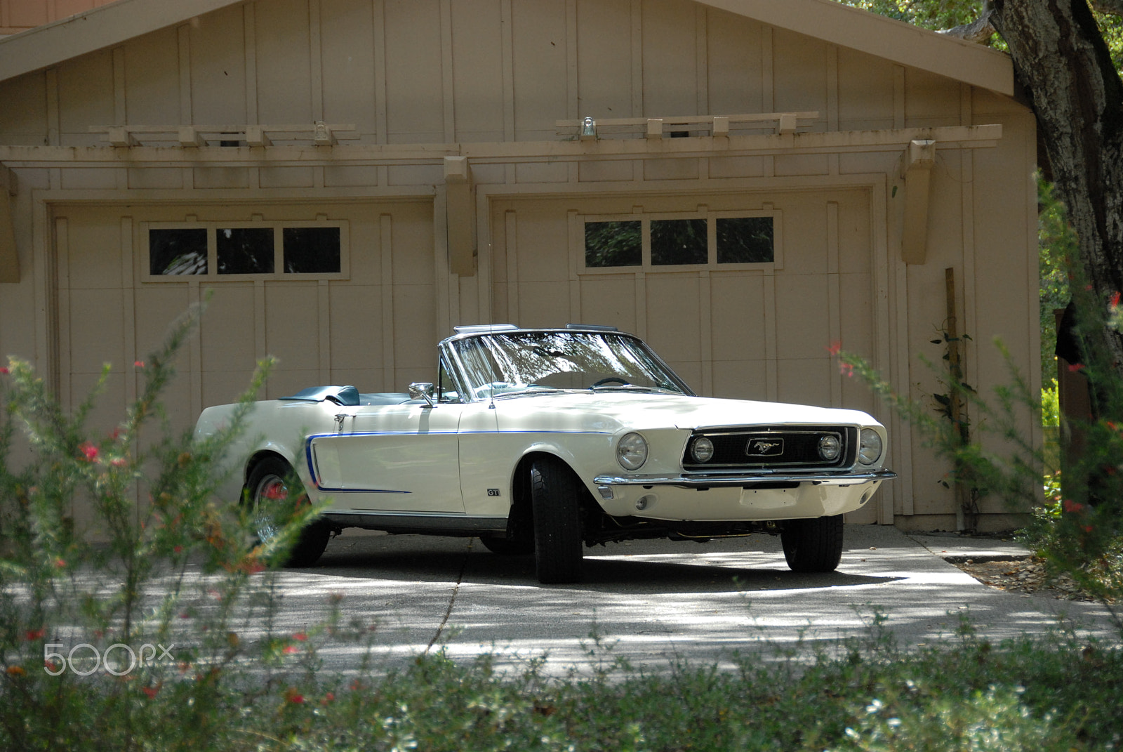 Nikon D200 sample photo. Mustang leaving home photography