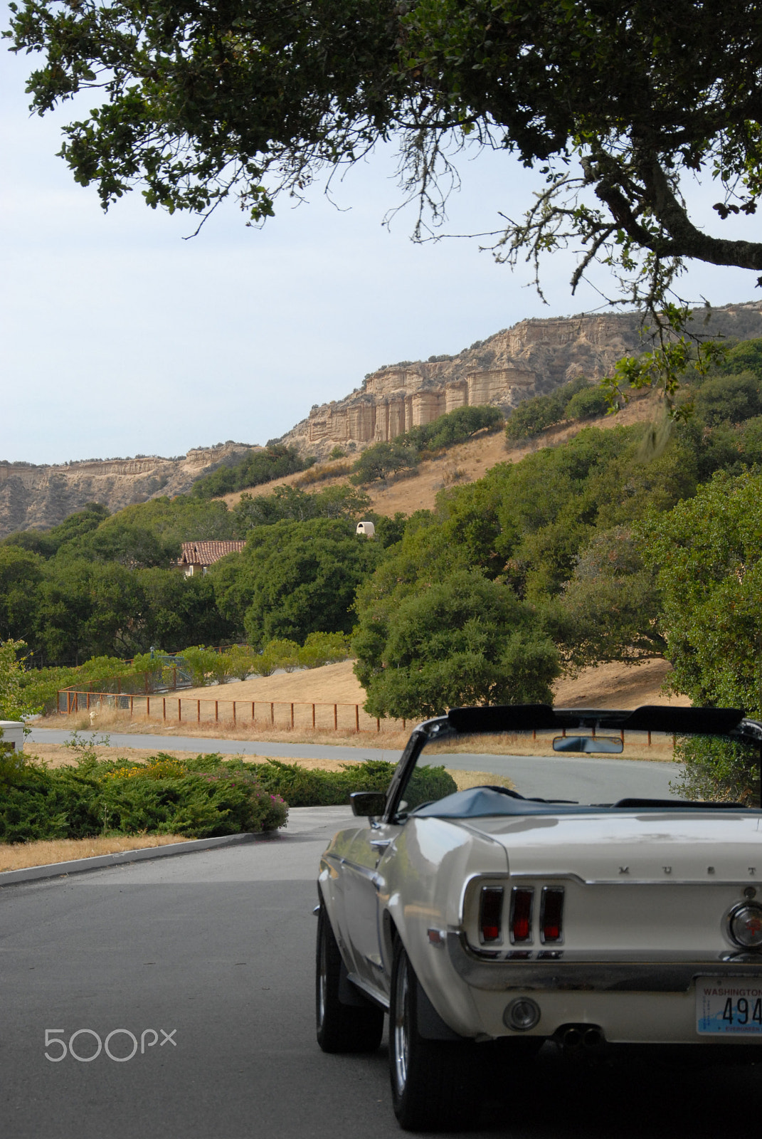 Nikon D200 sample photo. Mustang at castle rock photography