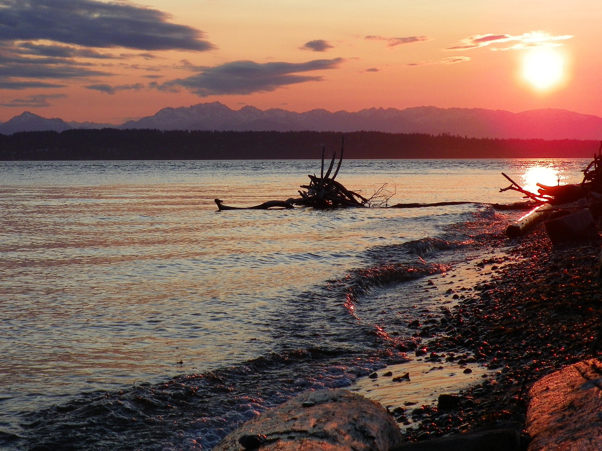 Kodak EasyShare Z981 sample photo. North beach sunset photography