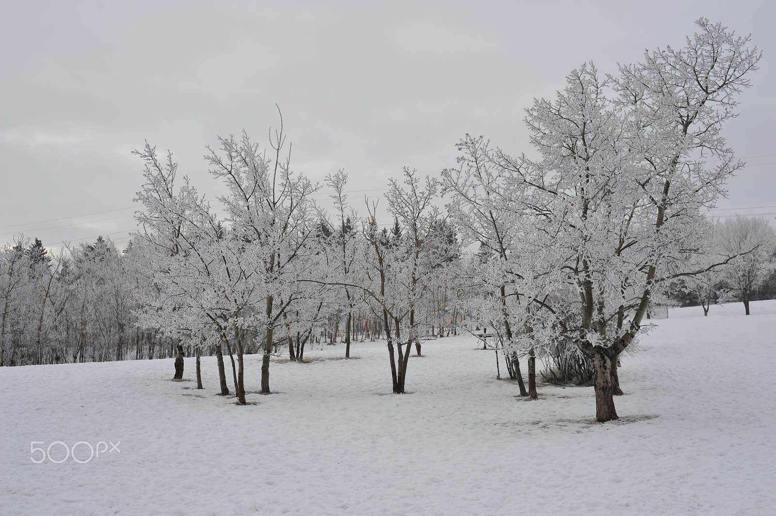 Manual Lens No CPU sample photo. Drizzle light freezing rain early morning photography