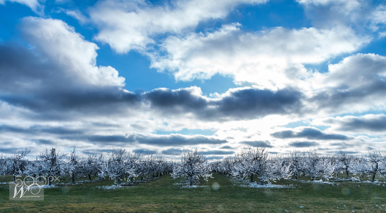 Sony ILCA-77M2 sample photo. Frost photography