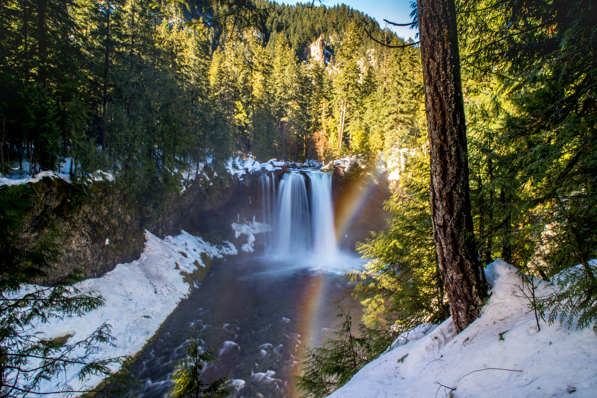 Nikon D610 + Sigma 24-70mm F2.8 EX DG Macro sample photo. Koosah falls oregon photography