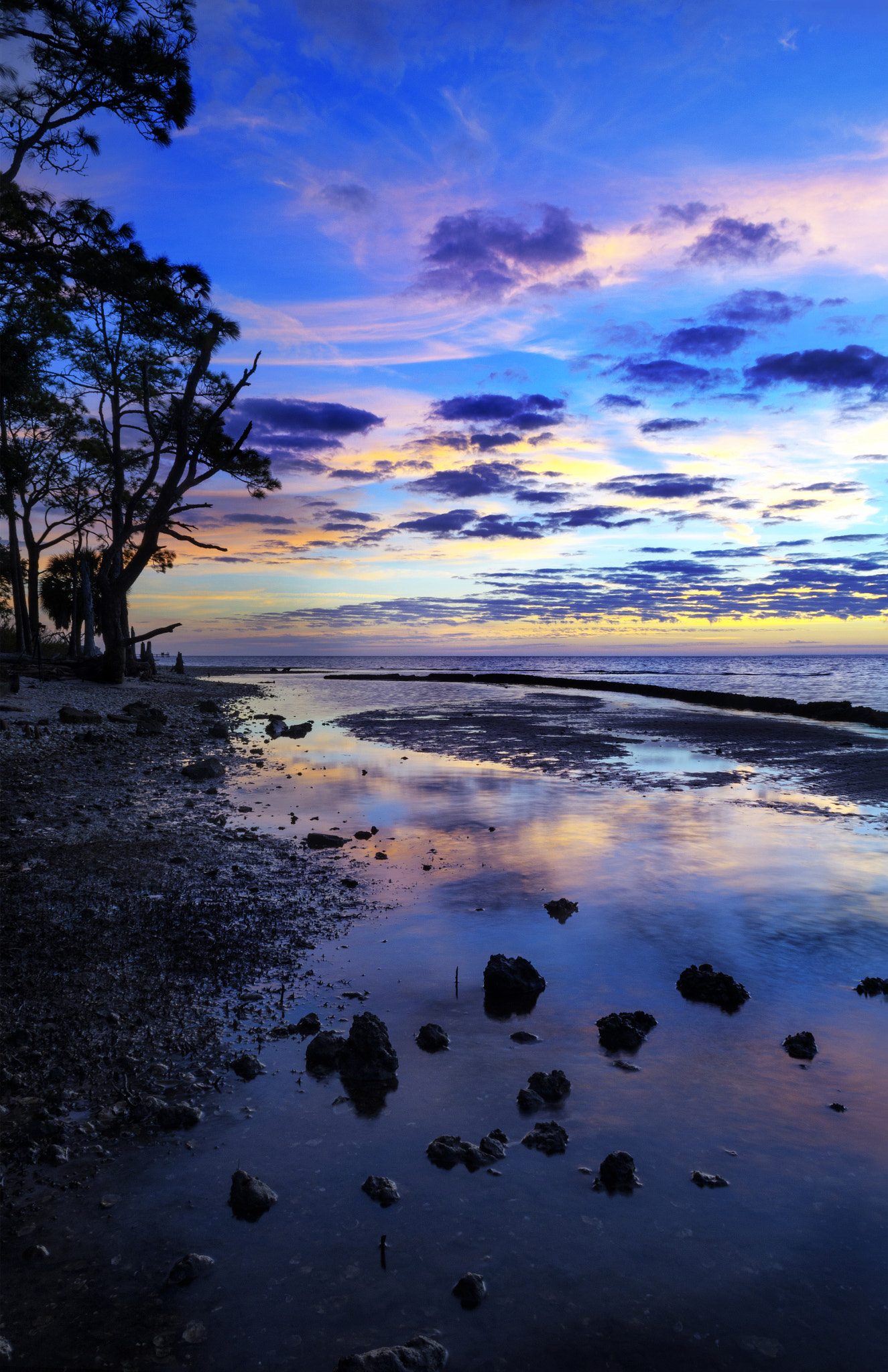 Nikon D500 sample photo. Right before the morning sun photography