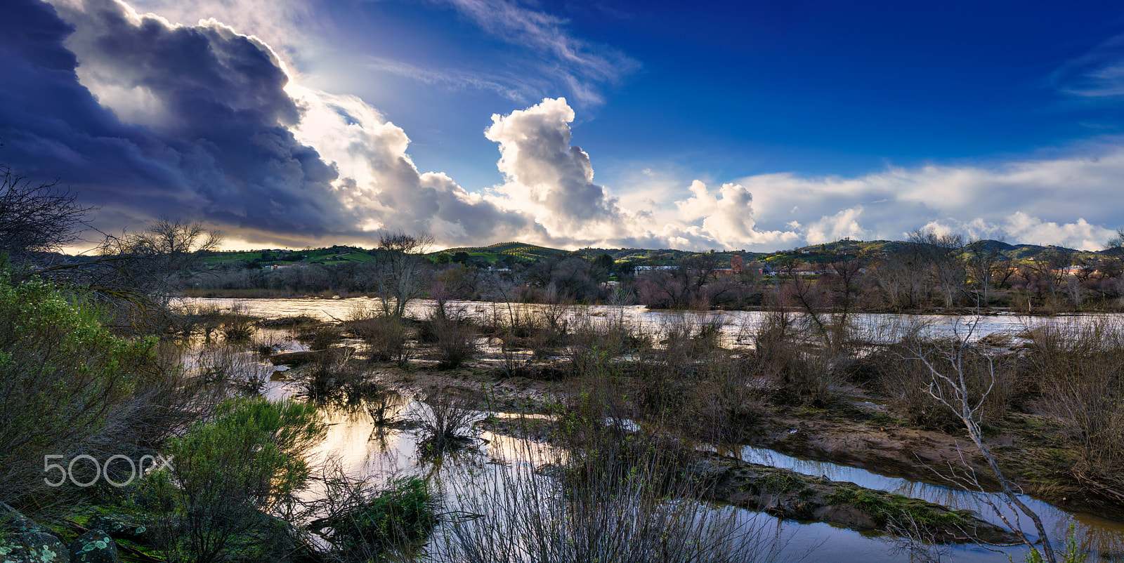 Sony a7R II + Sony Sonnar T* FE 35mm F2.8 ZA sample photo. Salinas river flows again! photography