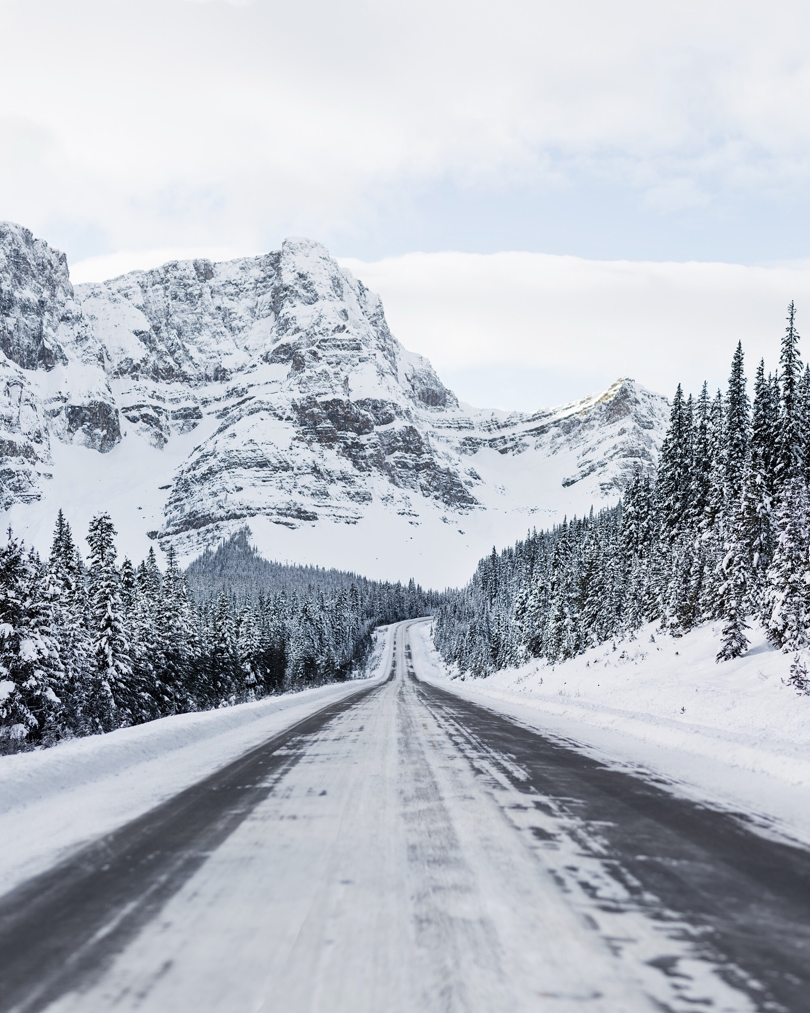 Nikon D4 + Nikon AF-S Nikkor 85mm F1.8G sample photo. Icefields parkway. banff. alberta. photography