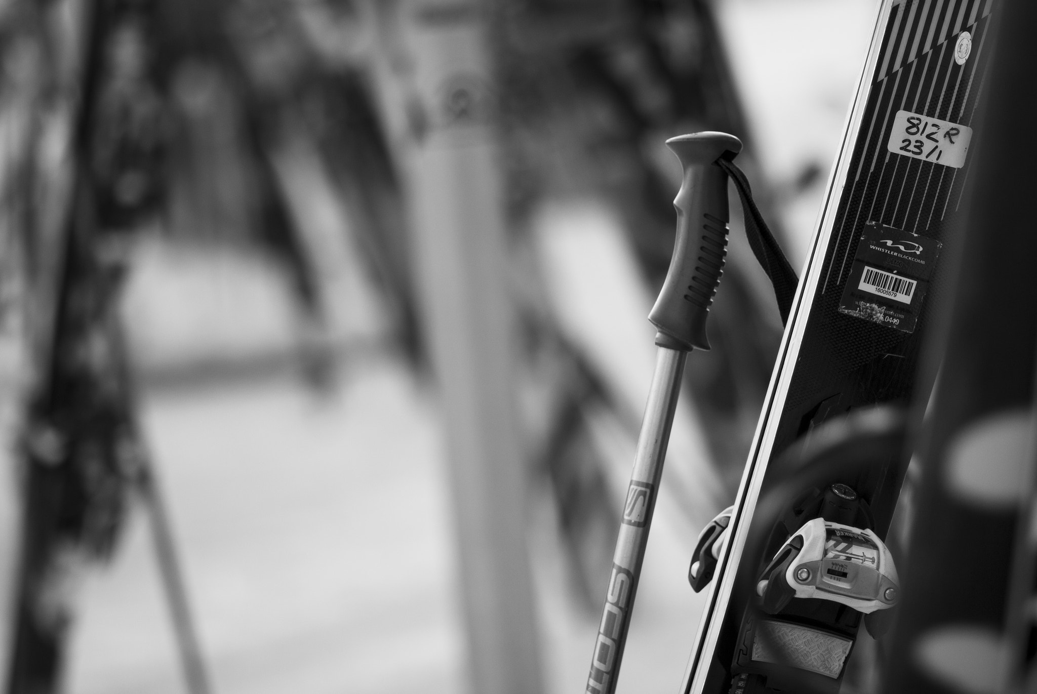 Canon EF 85mm F1.8 USM sample photo. Skis photography
