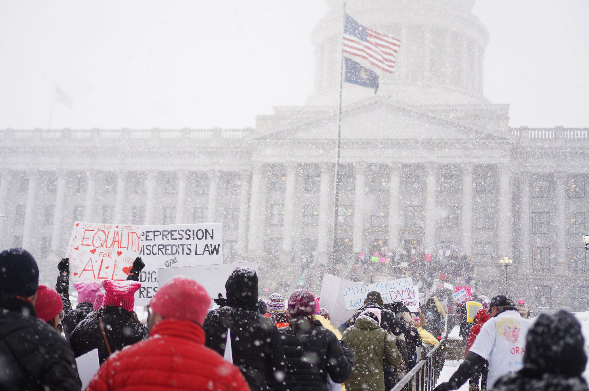 Sony Alpha NEX-6 + Sony E 35mm F1.8 OSS sample photo. Women's march on the utah state capitol 2017 photography