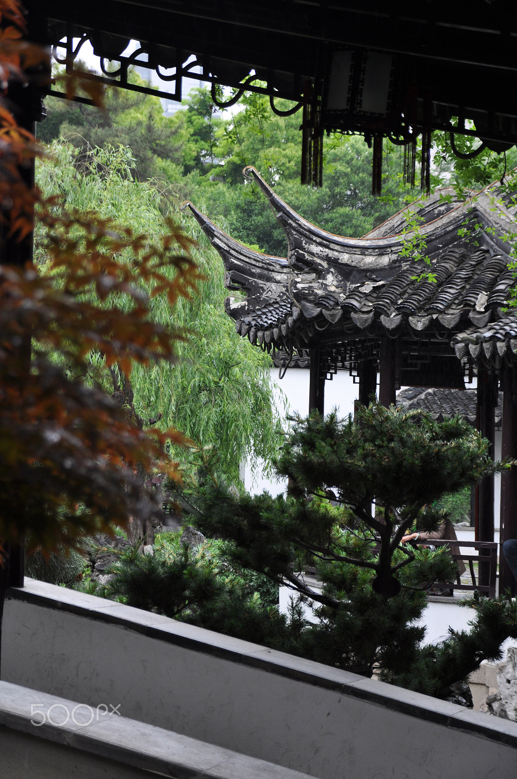 Nikon D90 + Sigma 18-200mm F3.5-6.3 DC OS HSM sample photo. Zhanyuan garden scene photography