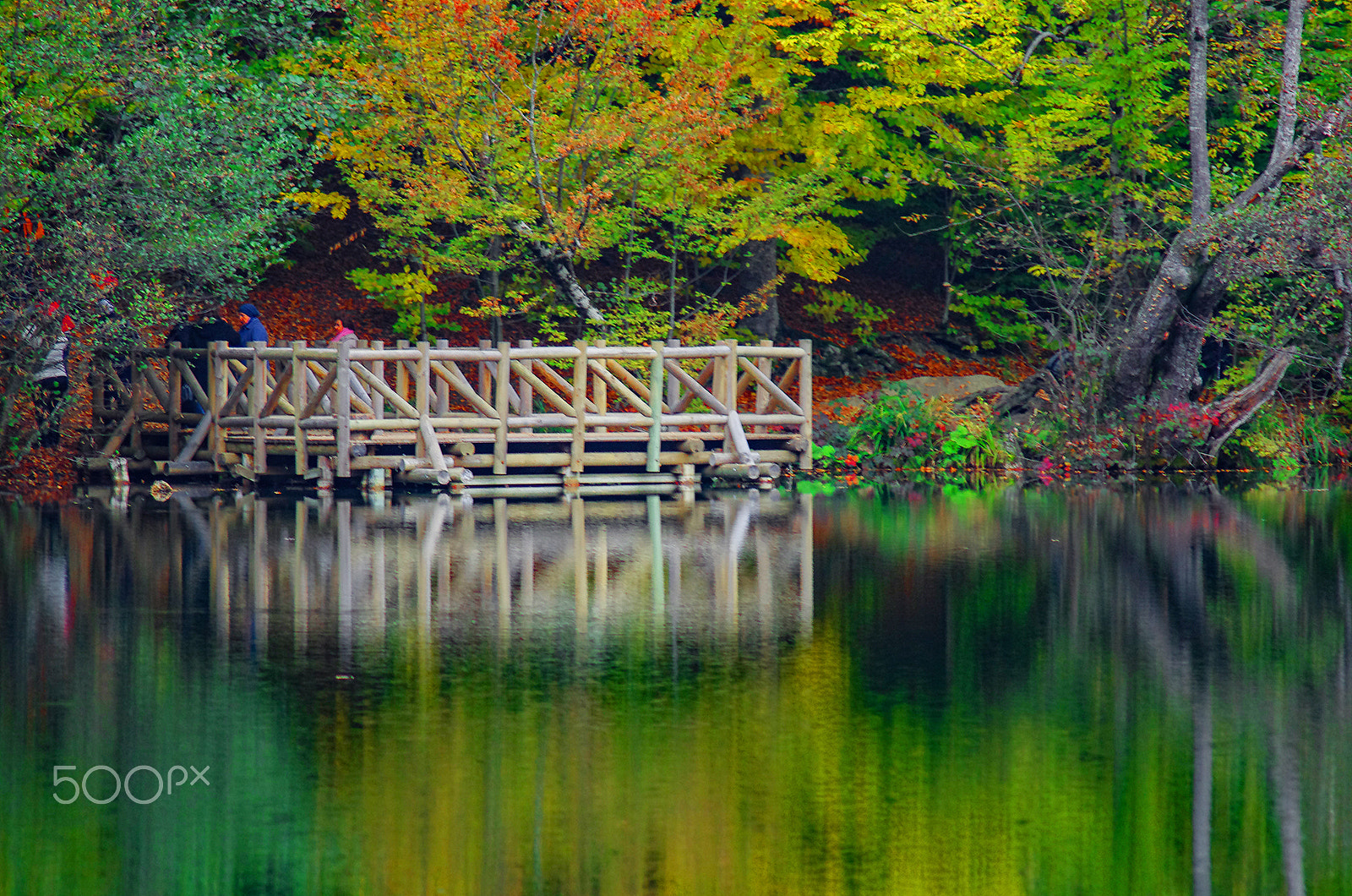 Pentax K-5 sample photo. Green theme photography