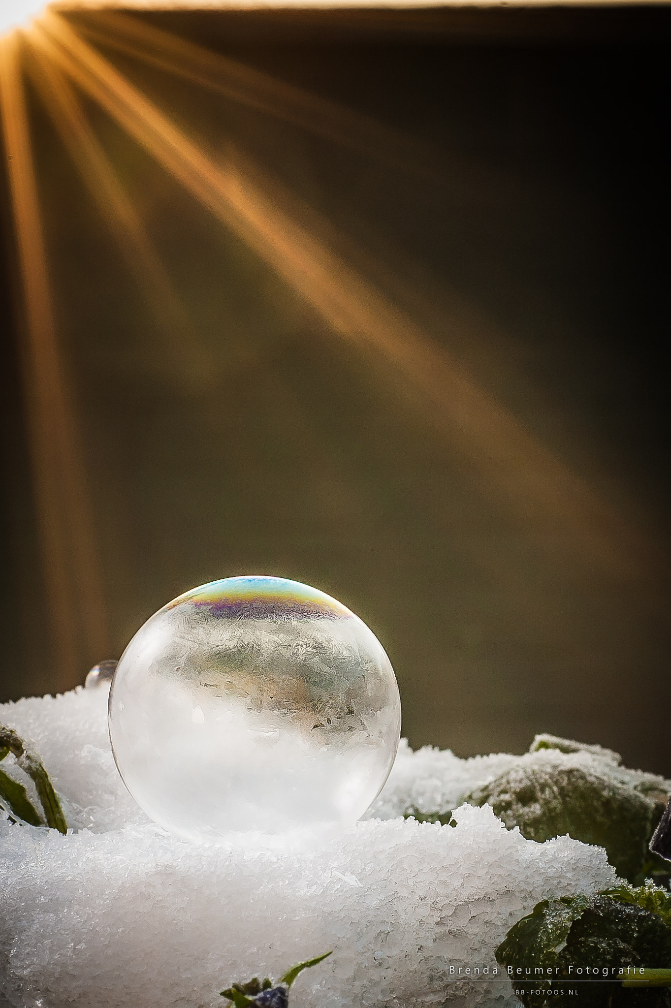Nikon D700 sample photo. Frozen bubble sunrise photography