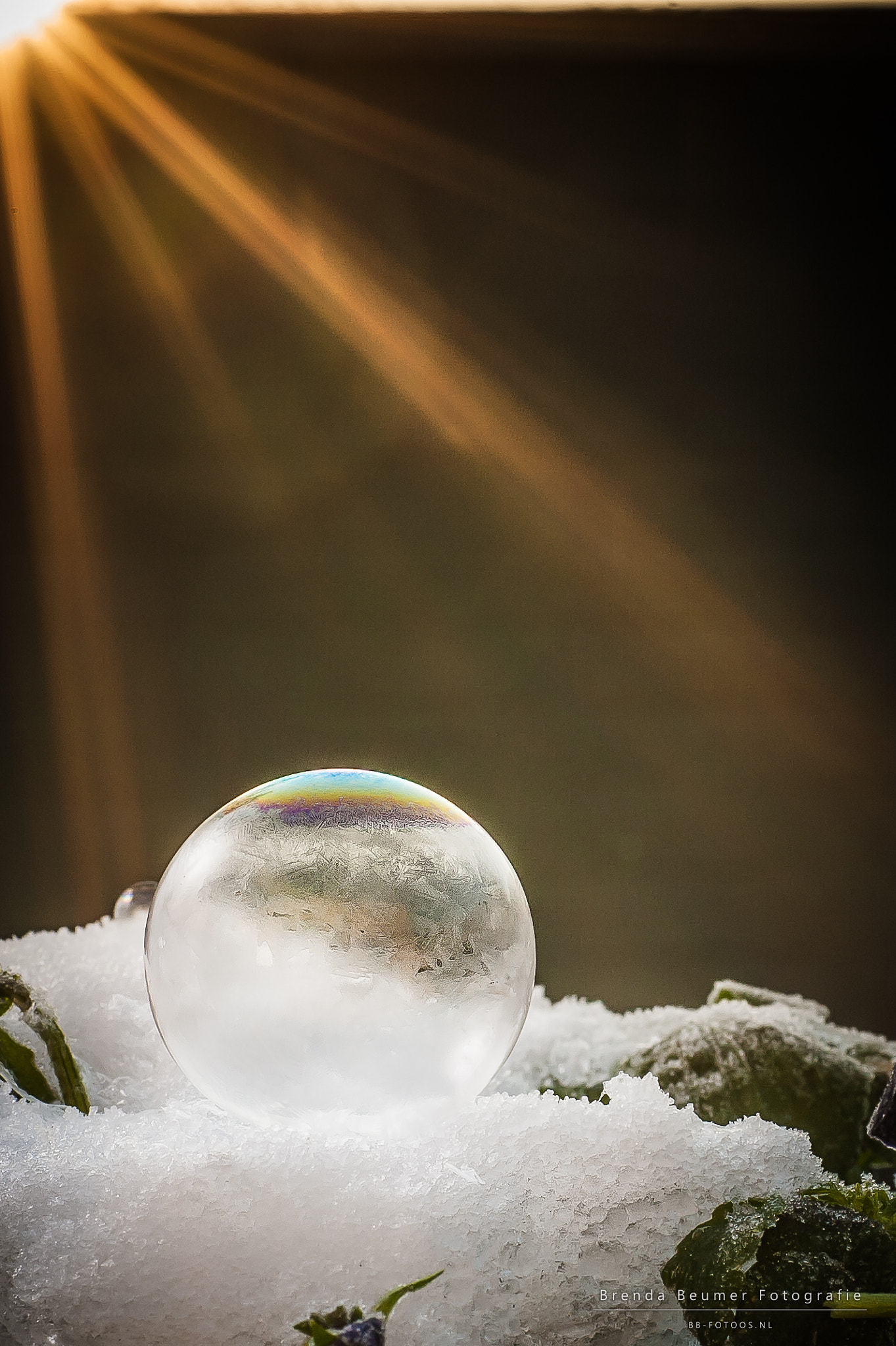 Nikon D700 + Sigma 70mm F2.8 EX DG Macro sample photo. Frozen bubble sunrise photography