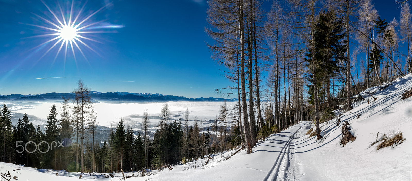 Canon EF 16-35mm F4L IS USM sample photo. Baranec photography