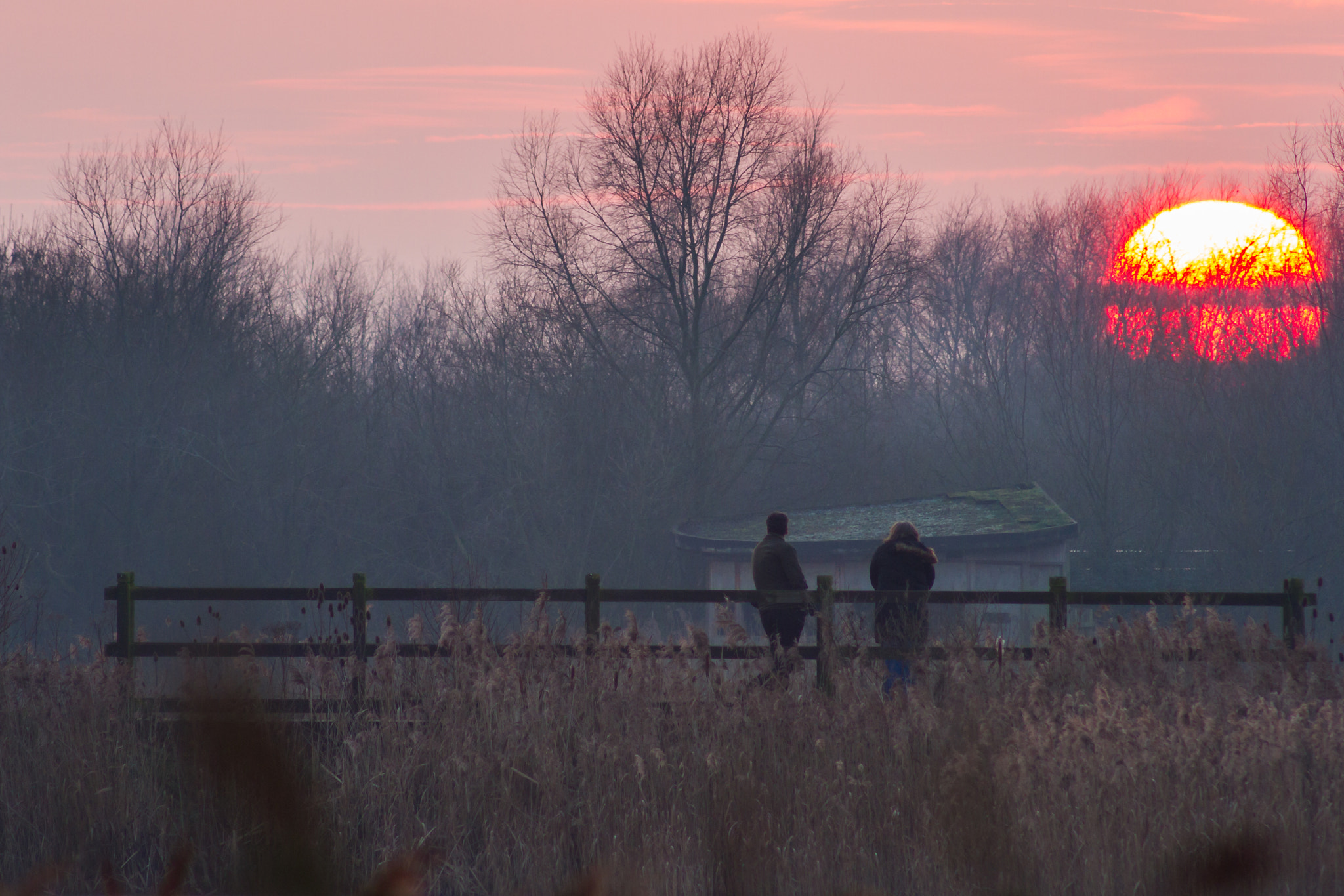 Canon EOS 7D + EF75-300mm f/4-5.6 sample photo. Watching sunset  photography