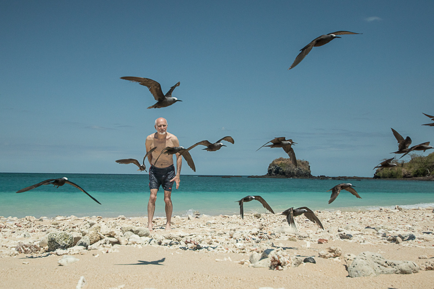 Sigma 12-24mm F4.5-5.6 II DG HSM sample photo. Indian ocean birding photography