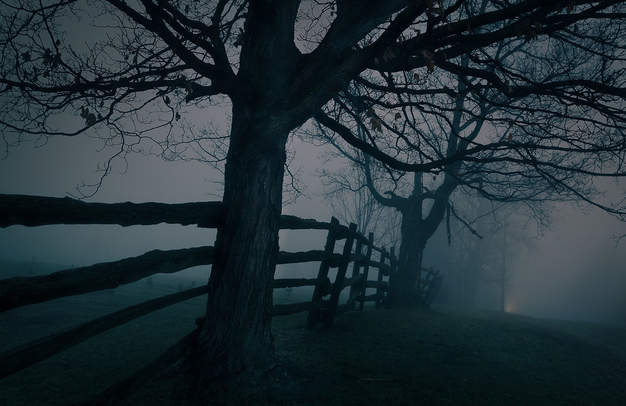 Nikon D800E sample photo. Had fun with the fog but ready for some sun photography
