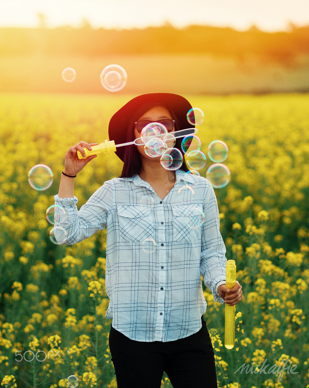 Olympus PEN E-P5 + Olympus M.Zuiko Digital ED 75mm F1.8 sample photo. Canola and bubbles photography