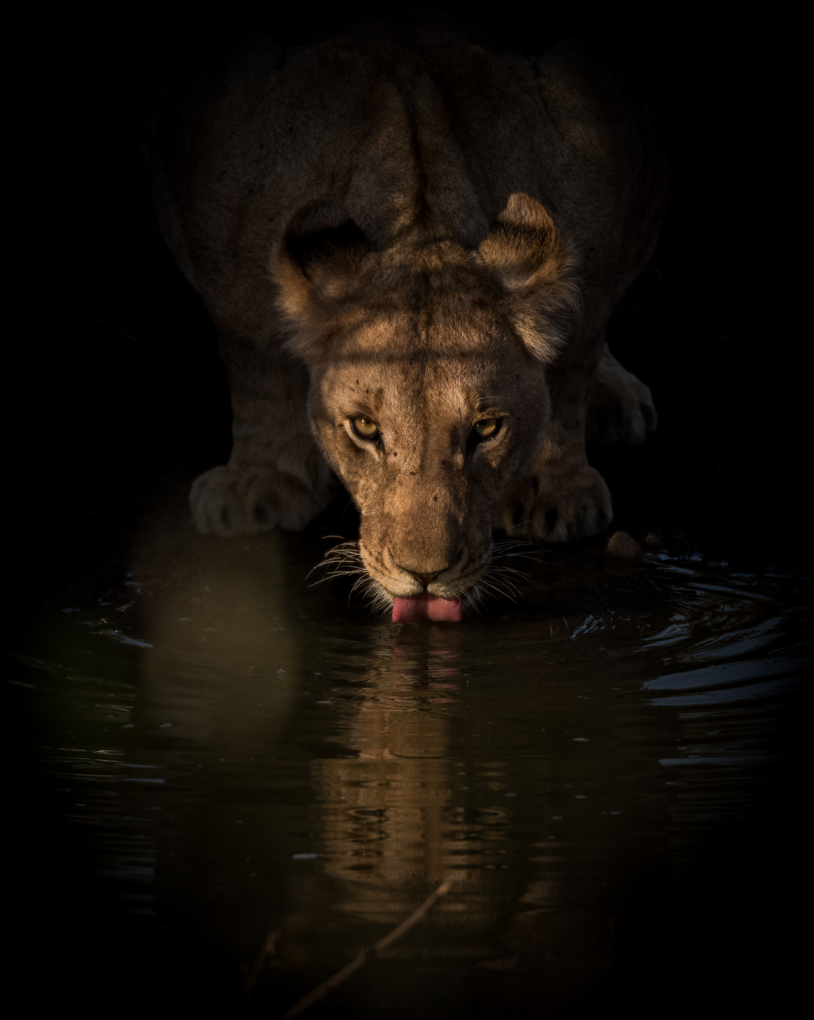 Nikon D810 sample photo. A little drink photography