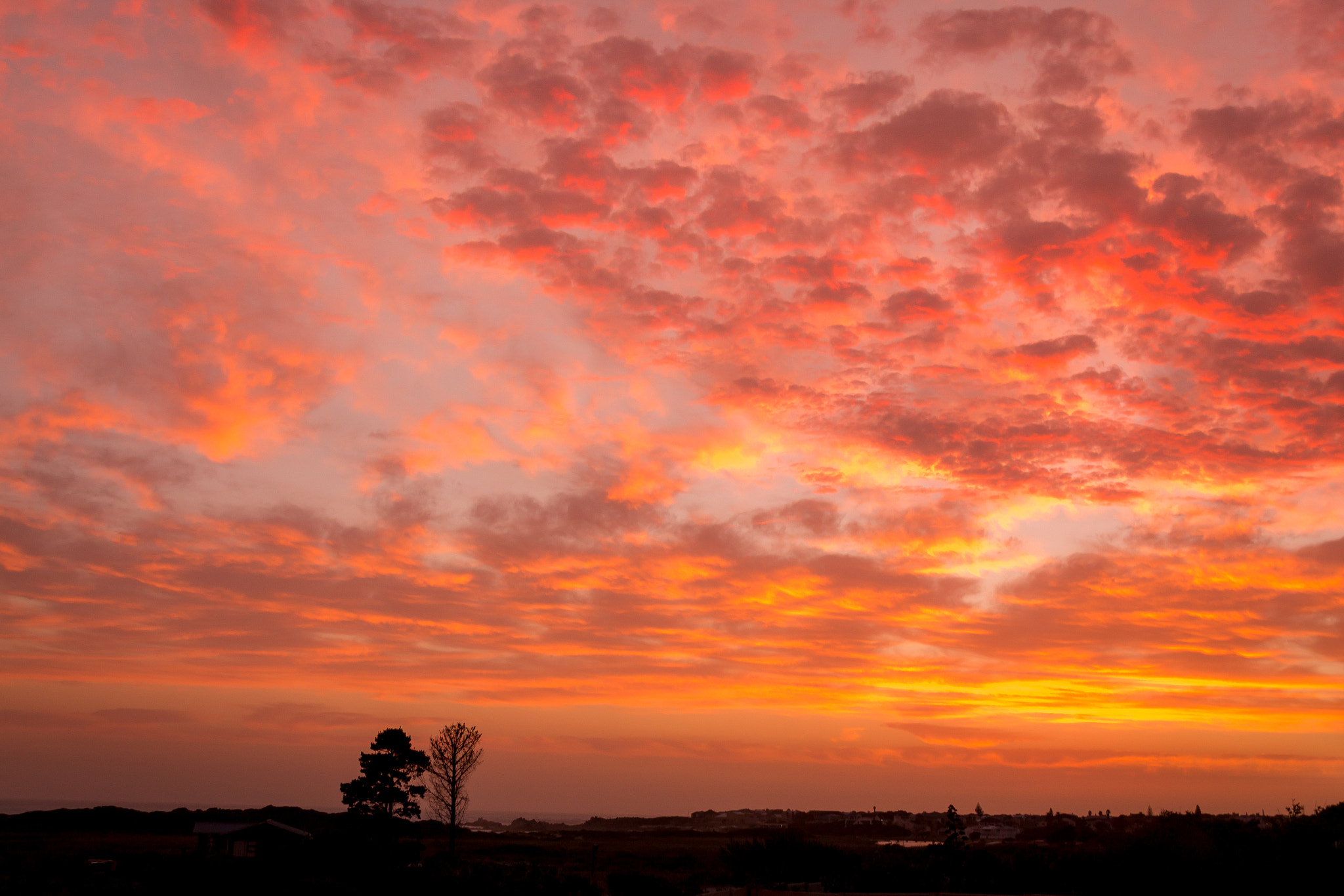 Sigma 18-250mm F3.5-6.3 DC OS HSM sample photo. Warm sunset photography