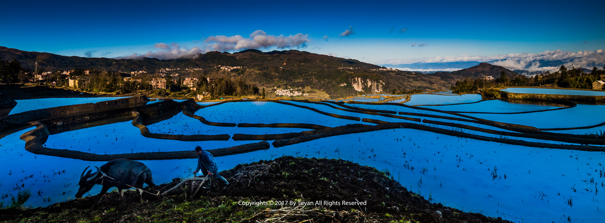 Canon EOS 5DS R + Canon EF 300mm f/2.8L sample photo. 有风吹过山谷，有花开在房前。不闻世间大事，驾牛耕作梯田… photography