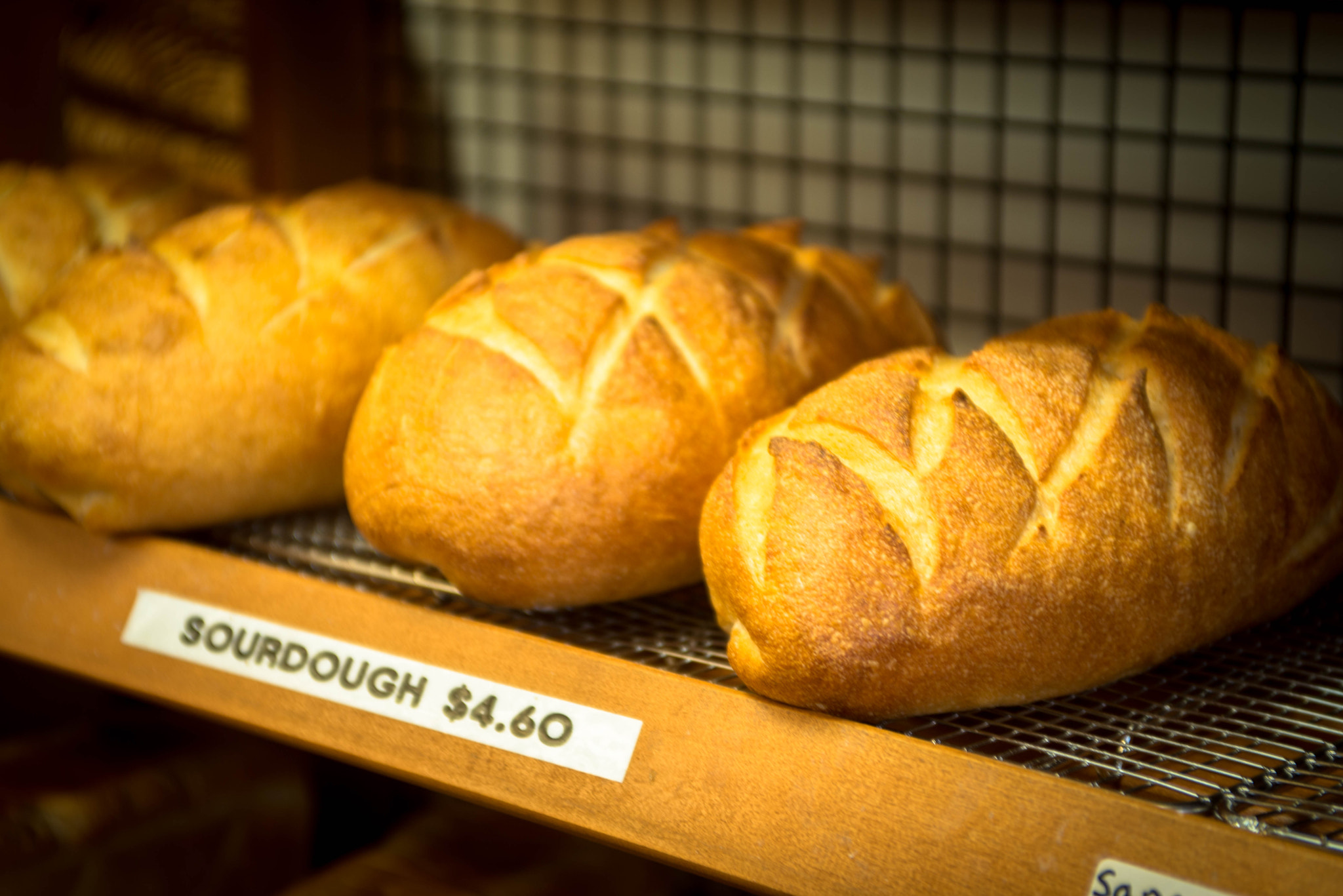AF Zoom-Nikkor 28-85mm f/3.5-4.5 sample photo. Sourdough photography
