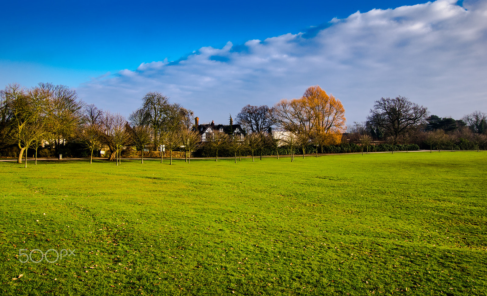 Sigma 10-20mm F3.5 EX DC HSM sample photo. Parkscape photography