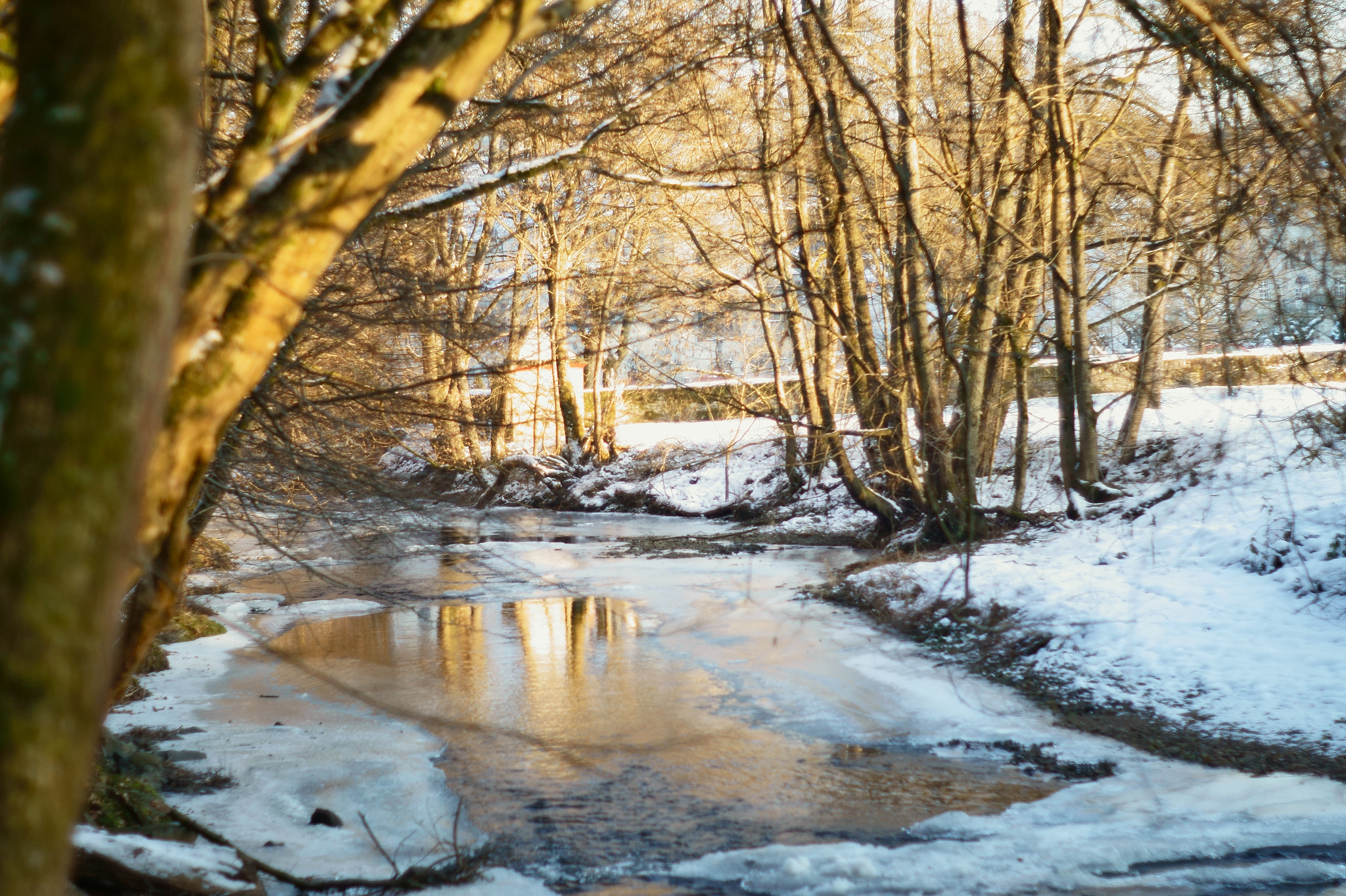 Minolta AF 50mm F1.7 New sample photo. Frozen brooklet! photography