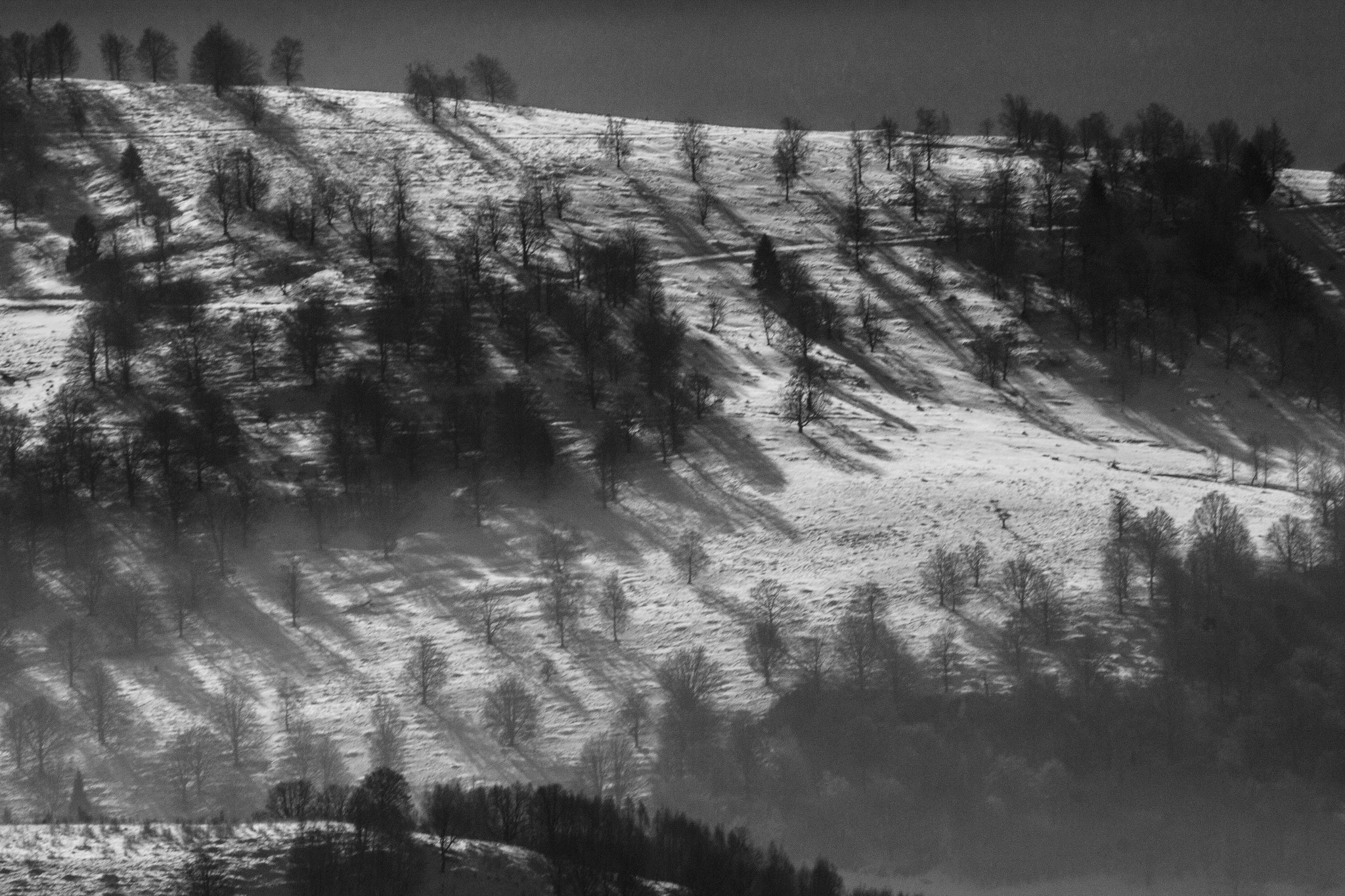 Canon EOS 650D (EOS Rebel T4i / EOS Kiss X6i) + EF75-300mm f/4-5.6 sample photo. Shadows of the winter sun photography