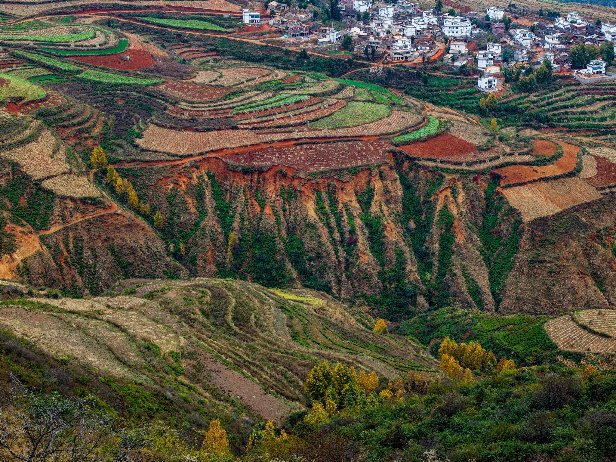 Hasselblad H5D sample photo. A village at the red land photography