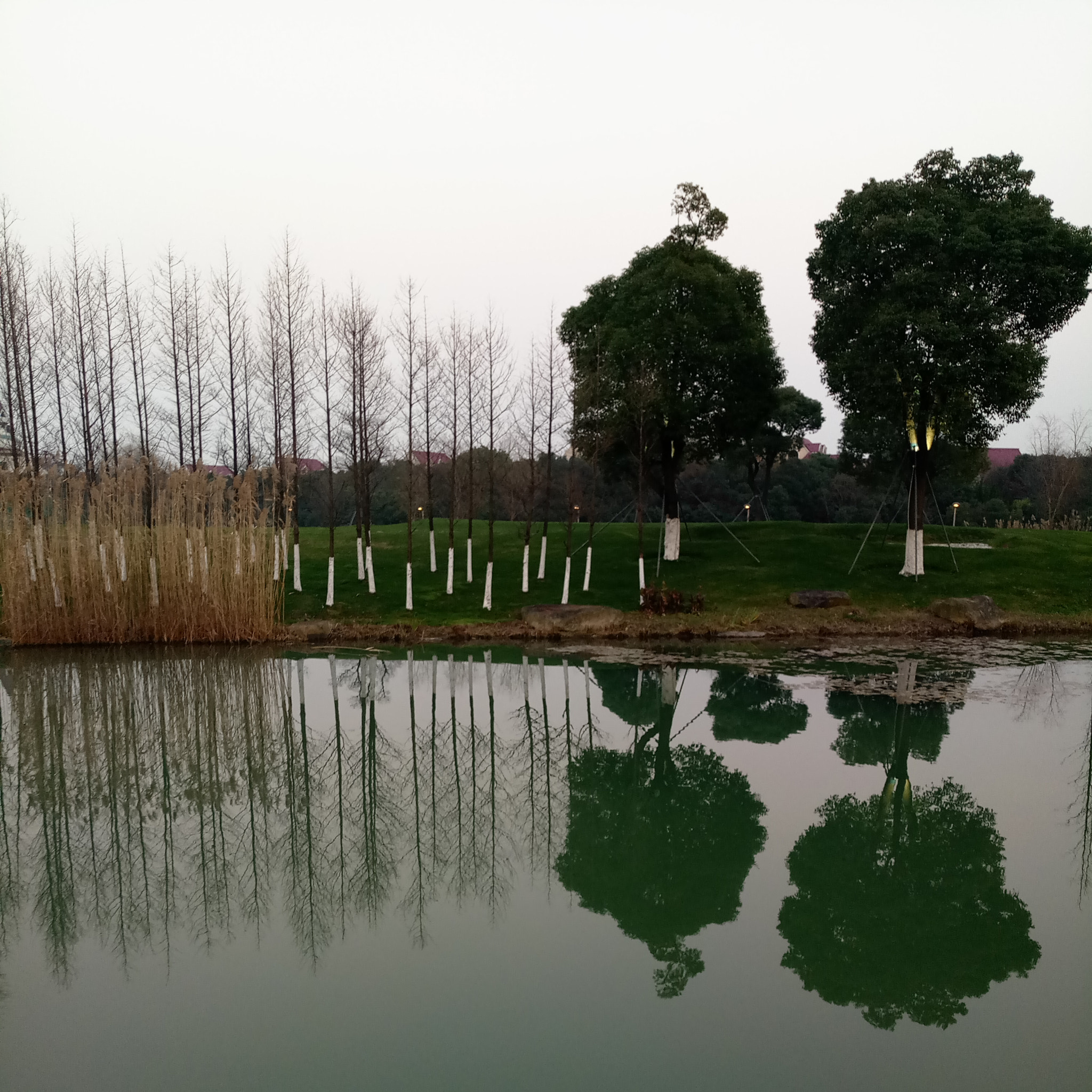 Meizu MX6 sample photo