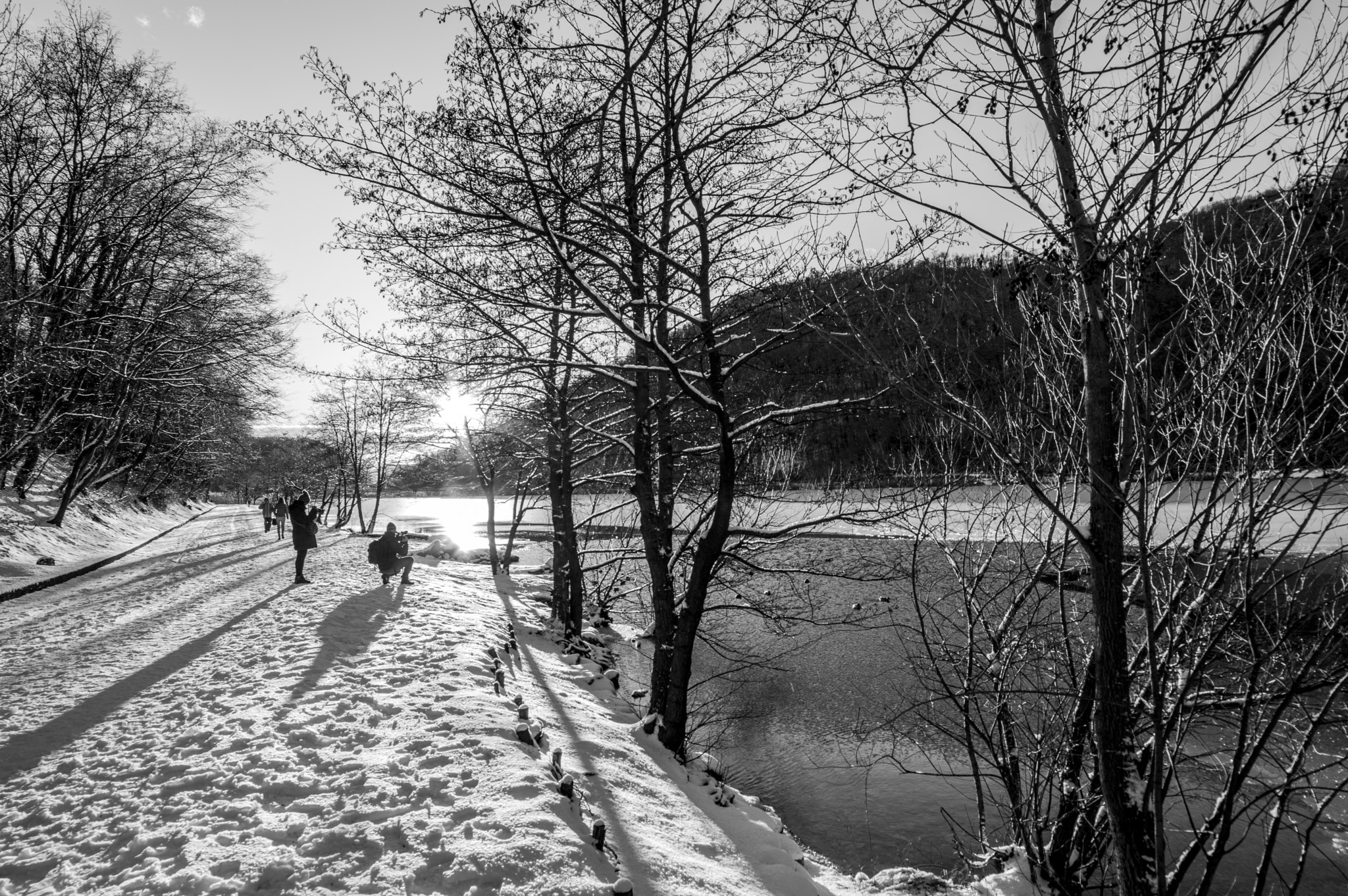 Samyang 14mm F2.8 ED AS IF UMC sample photo. Sun and shadows photography