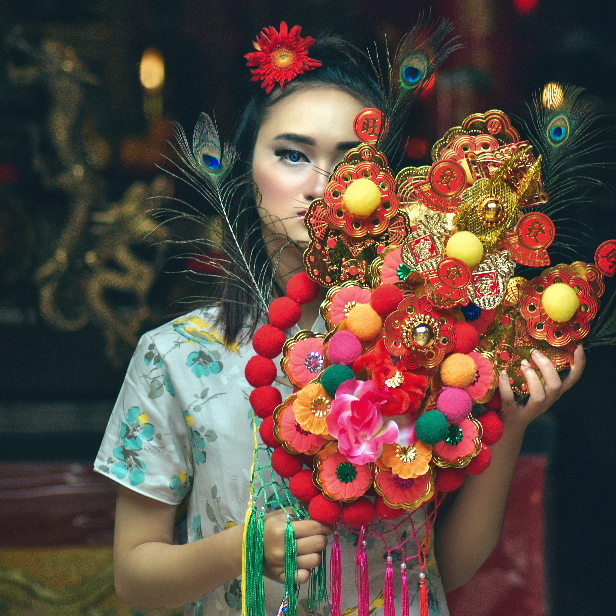 Nikon D5500 sample photo. 鸡年大吉  jī nián dàjí photography