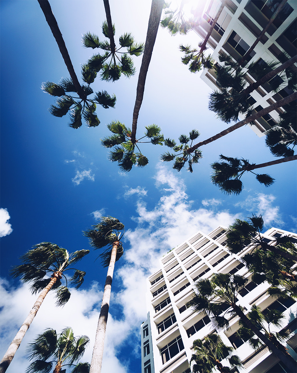 Sony a6300 + Sony E 10-18mm F4 OSS sample photo. Brickell hotel in miami photography