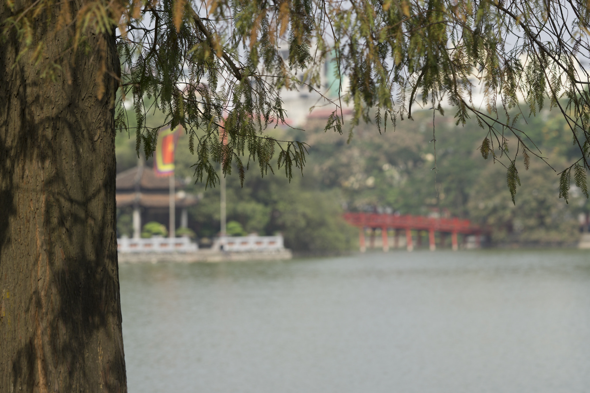 Sony a6000 + Sony FE 90mm F2.8 Macro G OSS sample photo. Lake photography