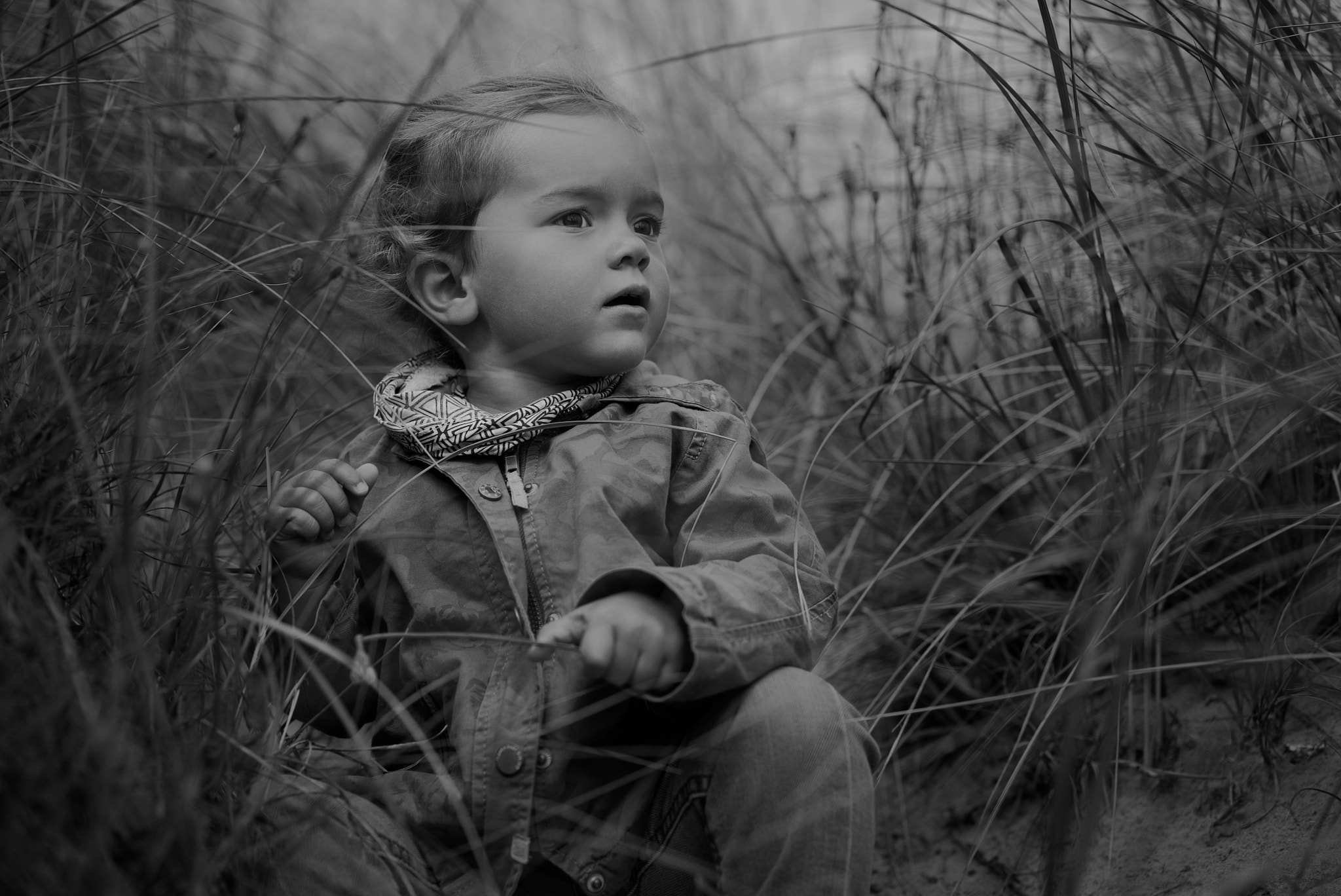 Sony a7S + Sony Sonnar T* FE 55mm F1.8 ZA sample photo
