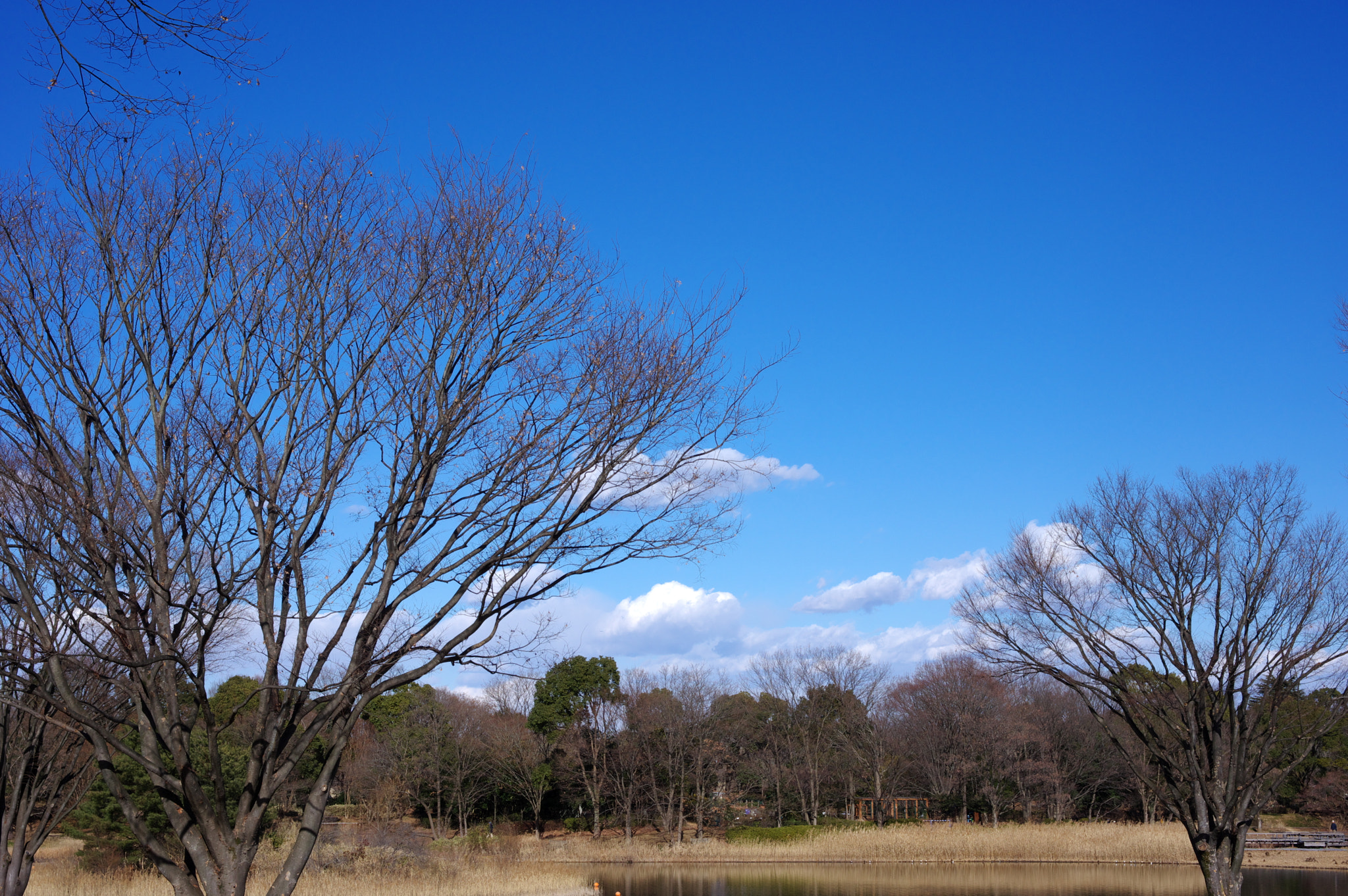 Pentax K-3 + Pentax smc DA 40mm F2.8 Limited sample photo. White clouds and the blue sky.... photography