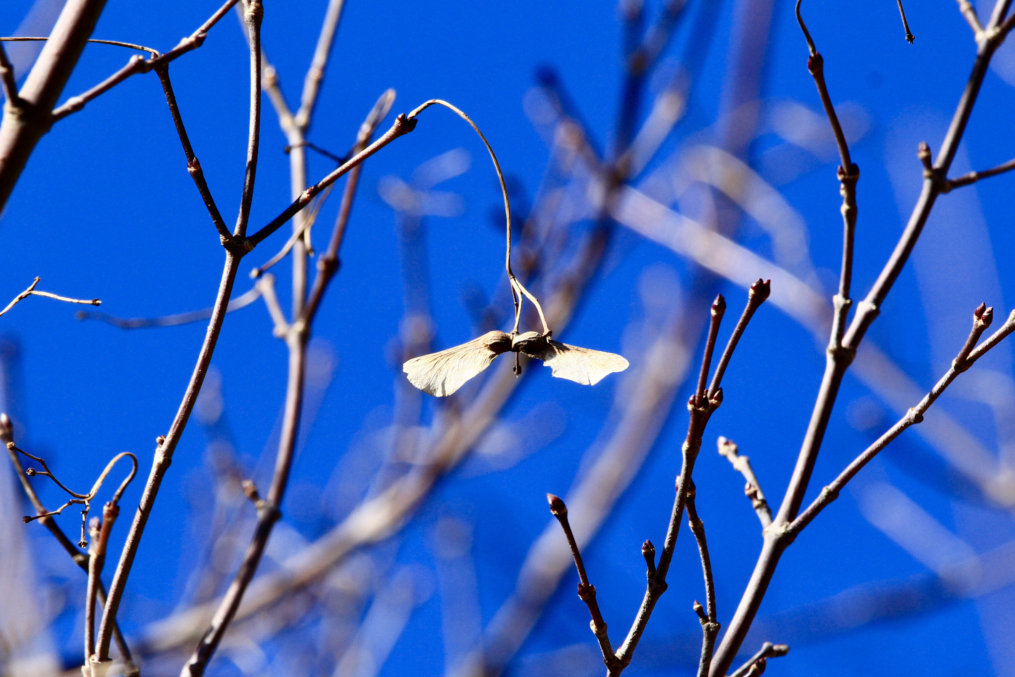 Canon EOS 700D (EOS Rebel T5i / EOS Kiss X7i) sample photo. Prepared to take off photography