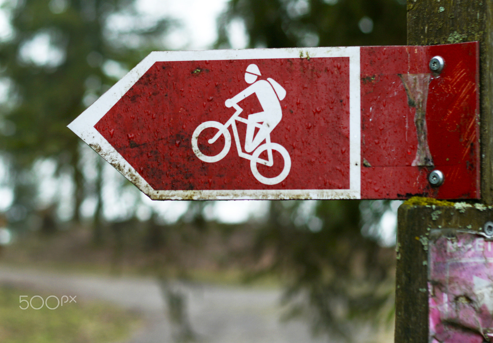 Canon EOS 400D (EOS Digital Rebel XTi / EOS Kiss Digital X) sample photo. Cycling road signs photography