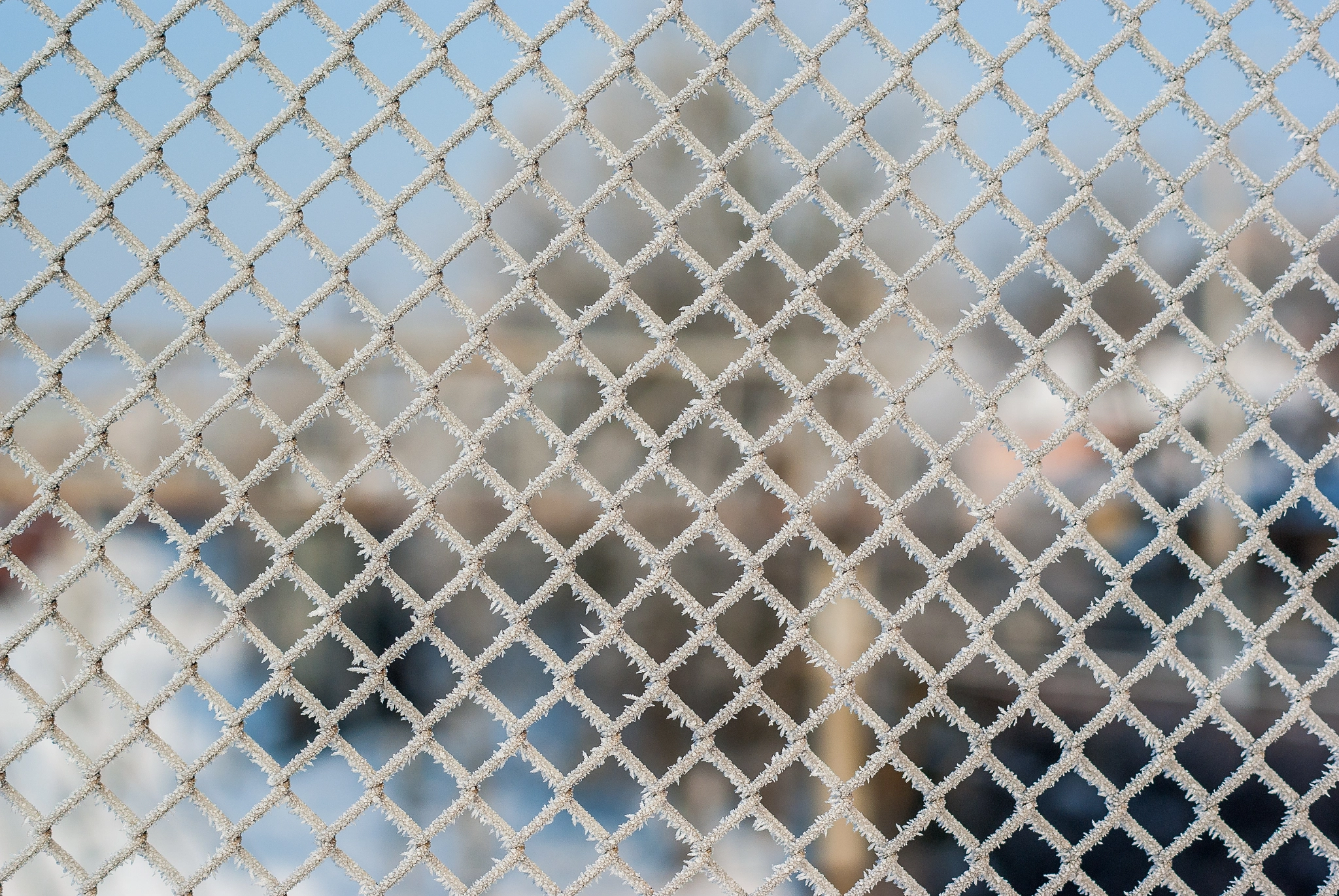 Pentax K200D + Pentax smc DA 50mm F1.8 sample photo. Metallic mesh coated with frost in the cold. background, space f photography