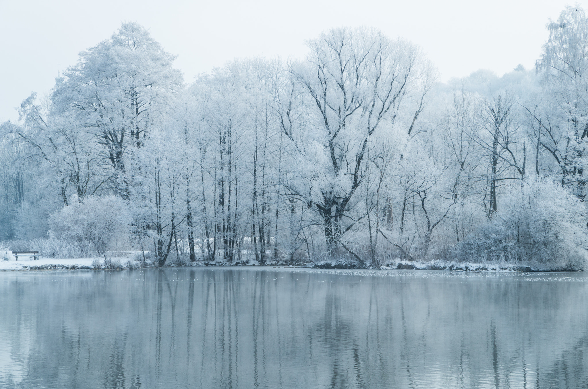 Pentax K-30 sample photo. Ice tree photography