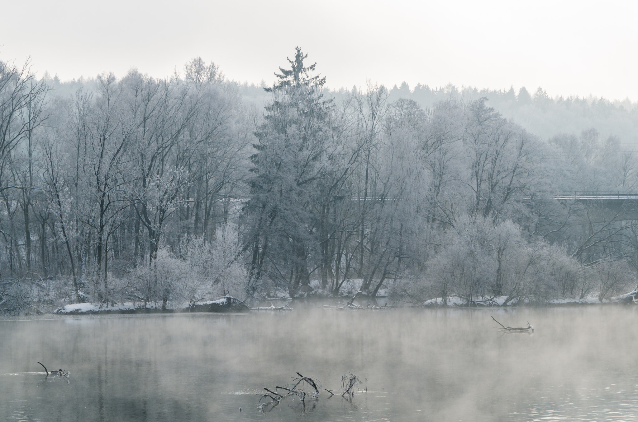 Pentax K-30 sample photo. Winter mist photography