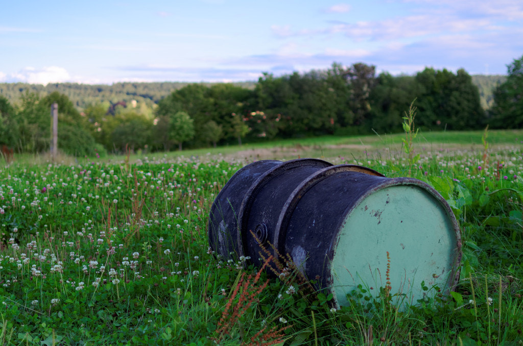 Pentax K-30 sample photo. Barrel photography