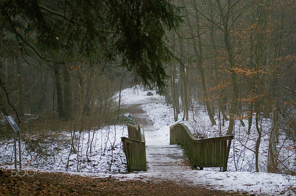 Pentax K100D Super sample photo. Little bridge in wintertime photography