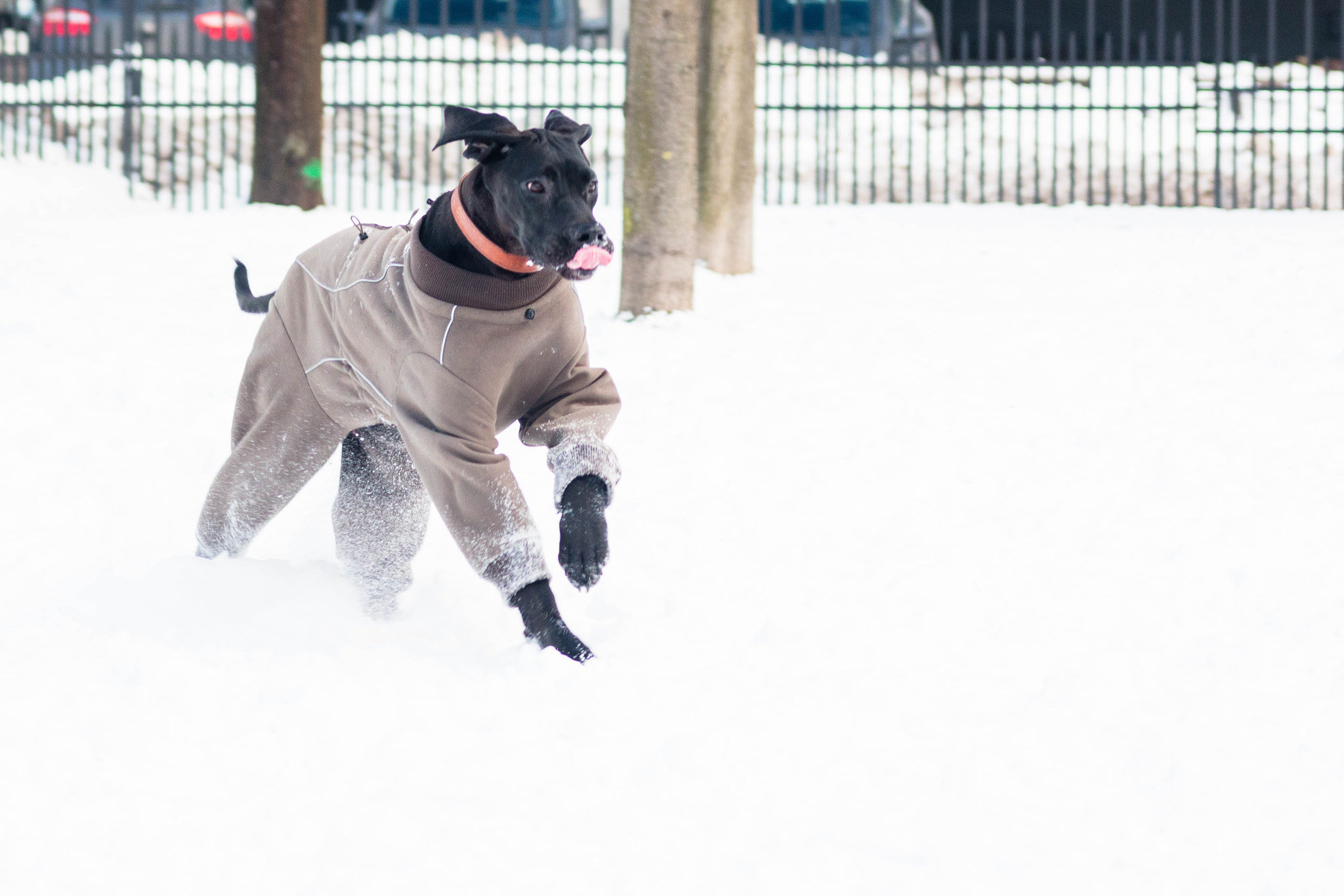 Canon EOS 70D + Canon EF 100-300mm F4.5-5.6 USM sample photo. Snowplay photography