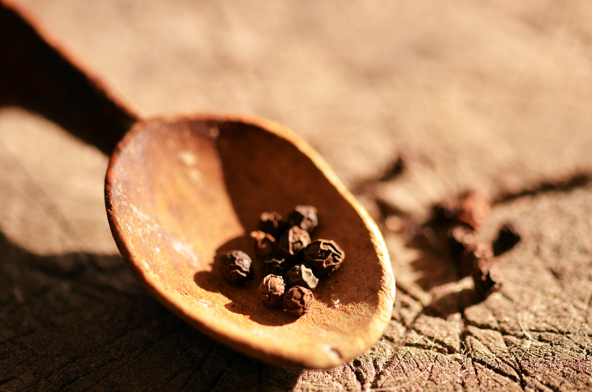 Sigma 105mm F2.8 EX DG OS HSM sample photo. Hot... photography