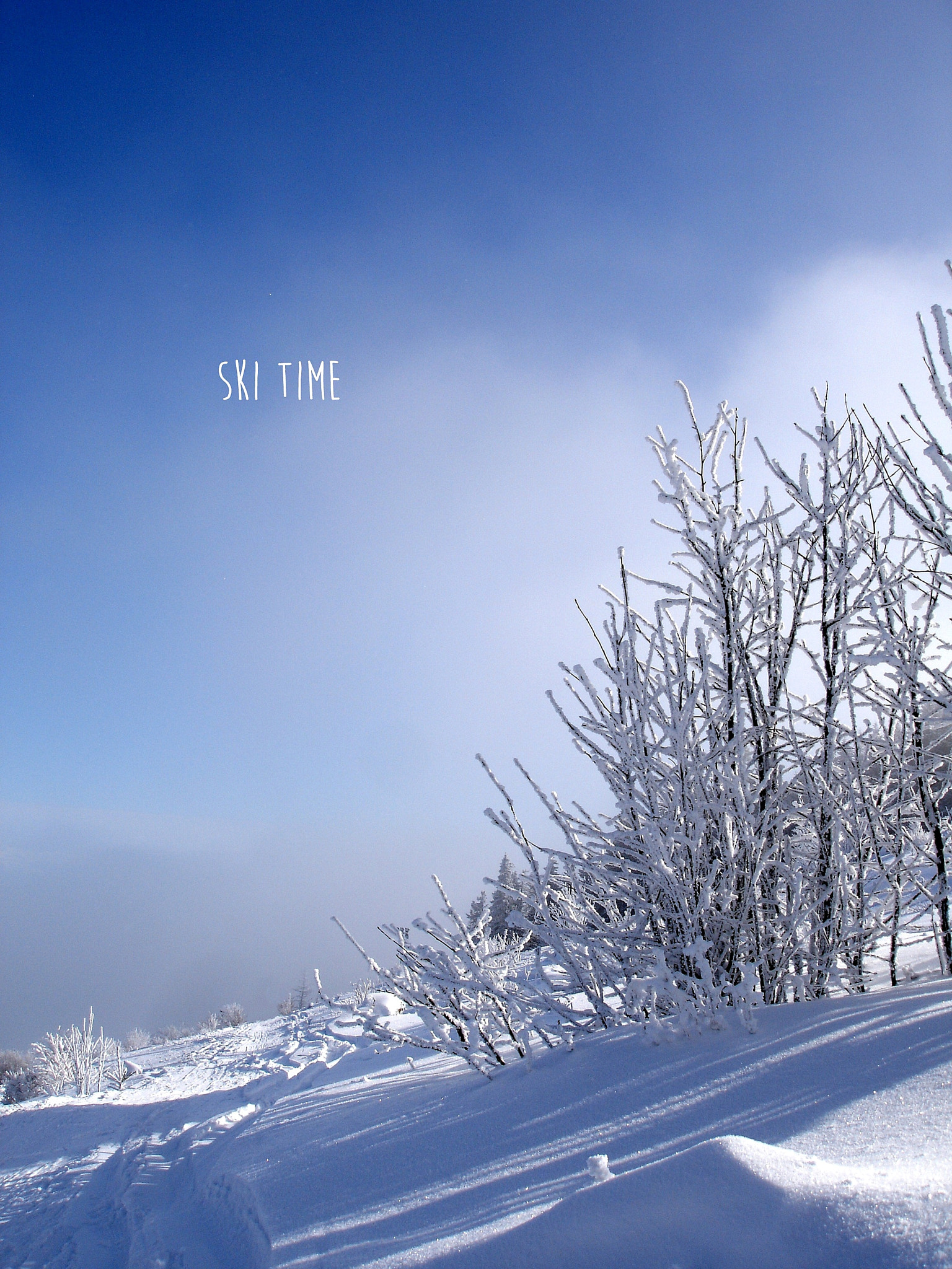Sony DSC-P200 sample photo. Ski time photography