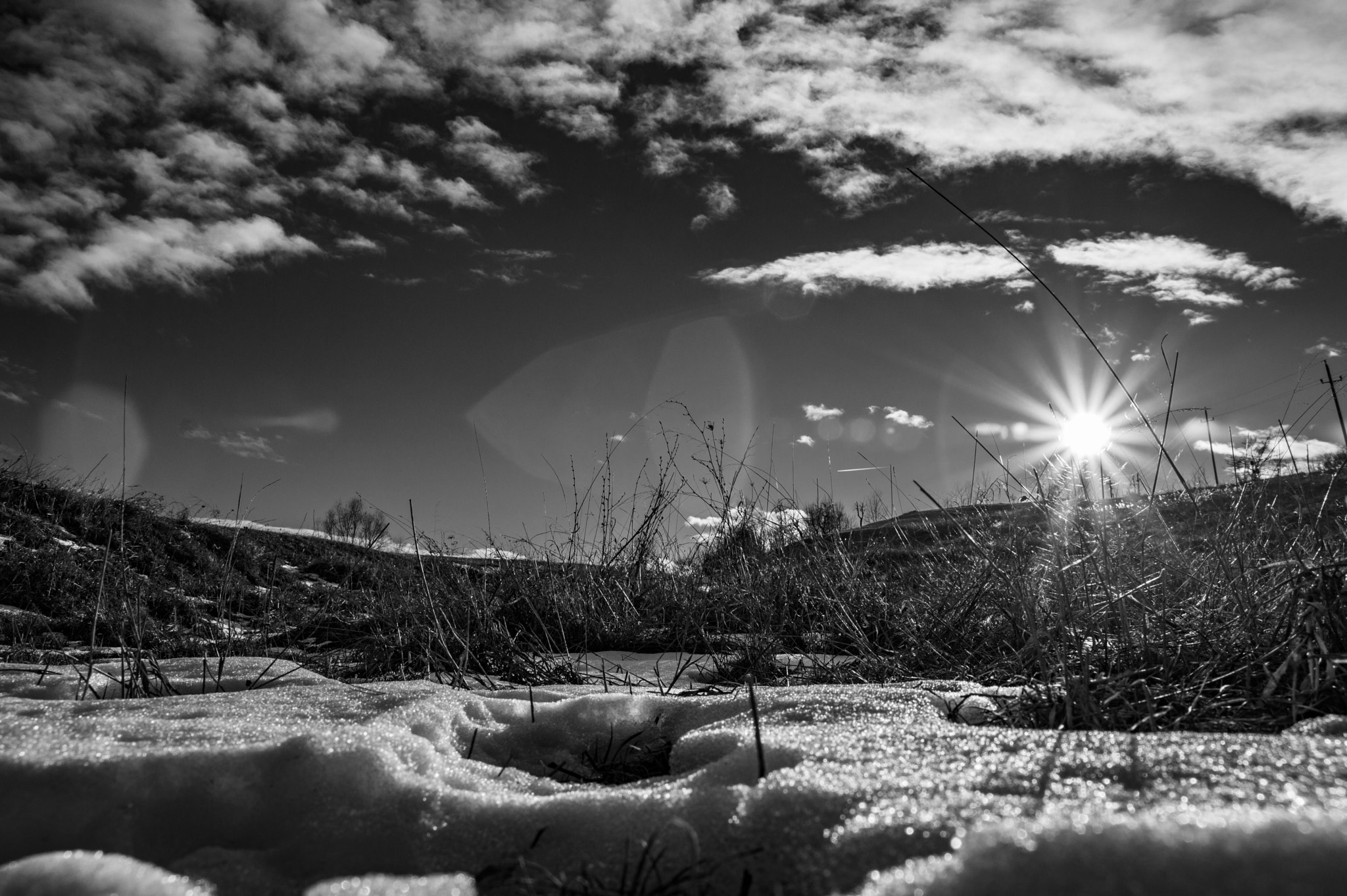Nikon D3200 sample photo. Good morning photography