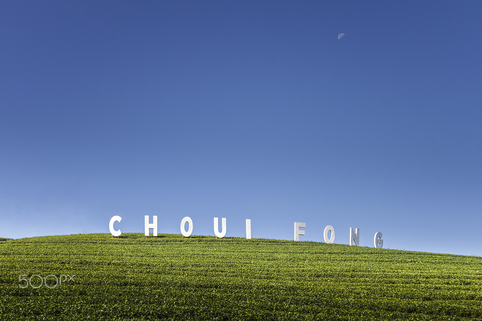 Sigma 18-200mm f/3.5-6.3 DC OS sample photo. Choui fong tea plantation,thailand photography
