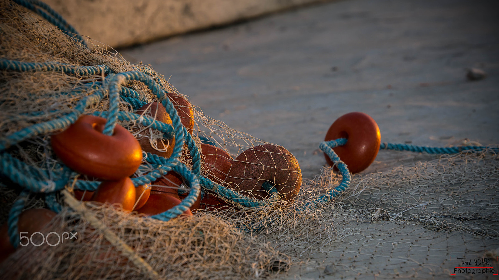 Sony E 18-200mm F3.5-6.3 OSS sample photo. Filet de sa tendresse photography